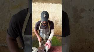 OMG Live Skipjack Tuna Cutting Master Skills [upl. by Ogdon]