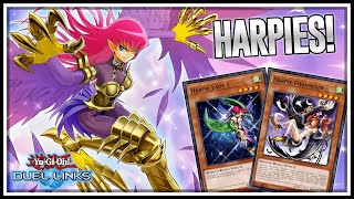 BEST HARPIE DECK Counter your Opponent with Cyber ​​Slash Harpie Lady YuGiOh Duel Links [upl. by Werda]