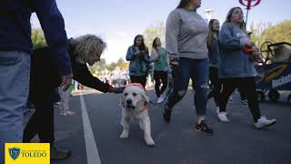 UToledo Homecoming Parade 2019 [upl. by Carmon]