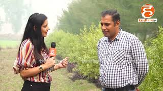 sandalwood farming interview by des Haryana channel [upl. by Sullivan]