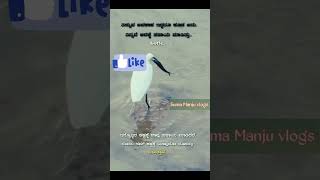 ಪಕ್ಷಿಗಳೇ ಗುಣದಲಿ ಮೇಲು 🔥 ಮನುಷ್ಯ ಜನ್ಮ ಅದಕ್ಕಿಂತ ಕೀಳು 🥹 viralvideo viralshorts [upl. by Didier]