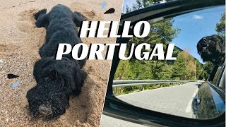 HELLO PORTUGAL  Family trip with our Giant Schnauzer [upl. by Eittel]