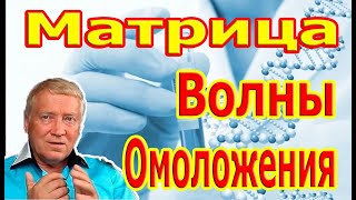 Матрица Волны Омоложения Можно Слушать Вечно [upl. by Adis62]