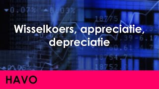 Wisselkoers appreciatie depreciatie  Economie voor havo  Europa [upl. by Alfredo]