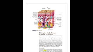 Milady Esthetician Chapter 3 Physiology amp Histology of the Skin [upl. by Meghan]