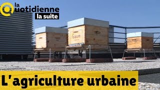 L’agriculture urbaine  La Quotidienne la suite [upl. by Suanne977]