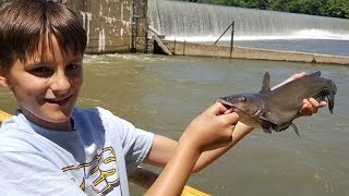 How to catch catfish beneath spillway  fishing for catfish in river [upl. by Lisabeth]