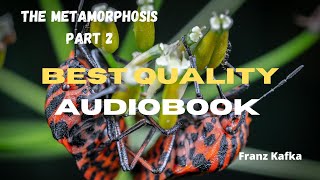 The Metamorphosis Audiobook  Franz Kafka  Part 2 [upl. by Ennayhs903]