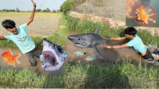 Big Shark Fish nazar aa gai  Mini zoo kay leay Shark Fish [upl. by Mame]