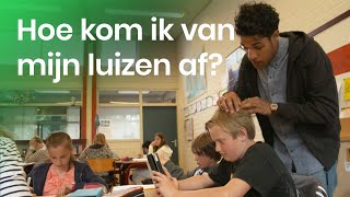 Wat kan ik tegen hoofdluis doen [upl. by Entwistle]