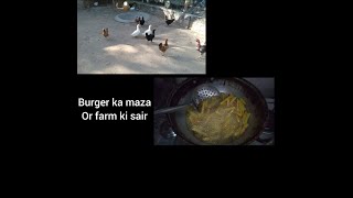 Farm ke Sair Aur Burger Ka Maza [upl. by Triley]