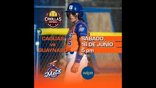 EN VIVO WIPR presenta el juego de softbol entre las Mets de Guaynabo vs Las Criollas de Caguas [upl. by Naltiak]