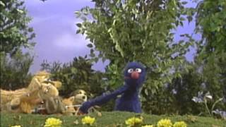 Sesame Street Monsters Best Friend with Grover Grover Dog walker [upl. by Lavina]