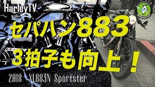 【883の3拍子は、チューニングでさらに変えられるのか？】馬力じゃない！街中だ！セパハン 2018 アイアン883 XL883N Sportster ハーレーTV  ハーレーダビッドソン東久留米 [upl. by Anehs]