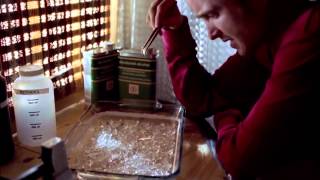 Hannah Montana Transition Music in Breaking Bad Scenes [upl. by Dolli447]