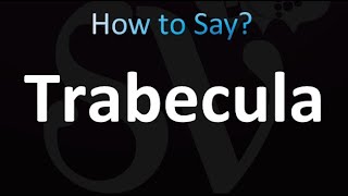 How to Pronounce Trabecula [upl. by Kate]