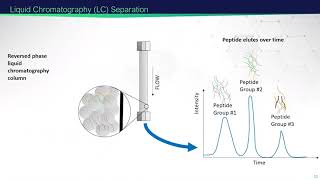 Mass SpectrometryBased Proteomics  2021 EMSL Summer School [upl. by Gustave]