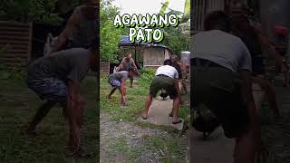 Naglaro Ang mga bata Agawang Pato [upl. by Greenman]