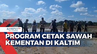 Kementan Garap Program Cetak Sawah Termasuk di Kaltim [upl. by Saxen]