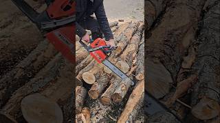 Бензопила Oleomac Цепь Oregon wood chainsaw tools [upl. by Zonnya590]