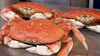 NorCals Dungeness crab season delayed again officials say [upl. by Valida931]