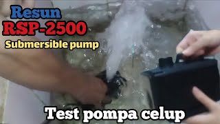 Test pompa celup Resun RSP 2500 SUBMERSIBLE PUMPreview [upl. by Bay]