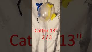 3 Pump to Pops Cattex 13 Inch Balloons Transparent Clear balloonpop balloon balloons [upl. by Arrait]