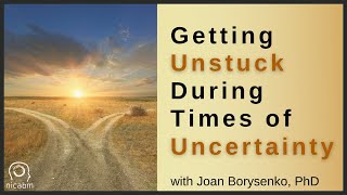 Working with Uncertainty to Help Clients Become quotUnStuckquot with Joan Borysenko PhD [upl. by Ardnua53]