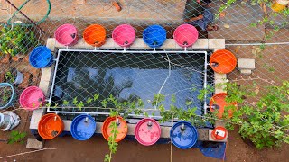 Simple Aquaponics വീടിന്റെ ഉമ്മറത്തിനടുത്തൊരു അക്വാപോണിക്സ് [upl. by Mixie]