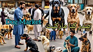 Latest Saddar Dogs Market Karachi Pakistan  Kutta Market  Kohat Dog  19 May 2024 babapetsinfo [upl. by Kania270]