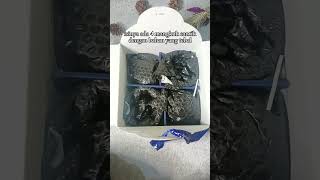 Luxury Gifts That Are Actually Affordable shorts gift  viralvideo [upl. by Cerallua435]