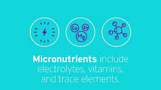 What is parenteral nutrition made of [upl. by Leftwich]