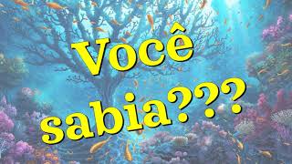 Animais vertebrados e invertebrados [upl. by Viola686]