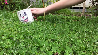 Cagney Carnation In Real Life [upl. by Gina]