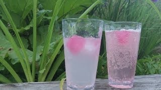 Rhubarb Juice Recipe  delicious easy summer drink  sugar free  paleo primal [upl. by Gordy]