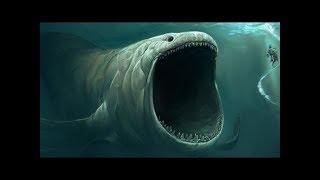 Prehistoric Sharks More Deadly Than The Megalodon [upl. by Renny157]