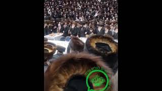 Bris Of Belzer Rebbes Great Grandson 10 Menachem Av 5784 [upl. by Eemia]