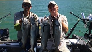 Lake Berryessa King Salmon [upl. by Kezer]