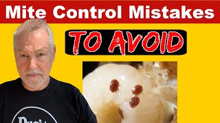 Beekeeping Mite Control Mistakes You MUST Avoid At All Cost [upl. by Dianuj]