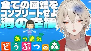 【あつ森】全ての図鑑をコンプリートせよ海の幸編【新人vtuber  弐十】 [upl. by Otes]