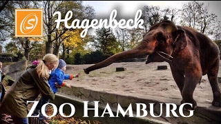 Tierpark Hagenbeck Zoo Hamburg Hamburg Germany [upl. by Joni]