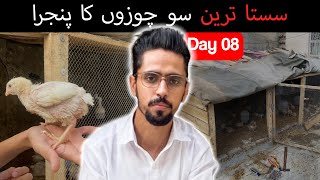 LowBudget Cage for hundred Broiler Chicks [upl. by Eirrab]