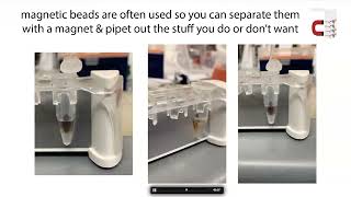 rRNA depletion strategies [upl. by Areyk]