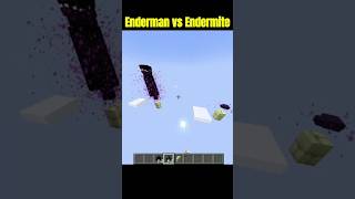 Enderman vs Endermite 😰😓 Minecraft pt 2 who win 🗿🗿minecraft fighting [upl. by Massarelli]