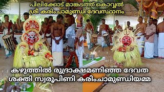 കഴുത്തിൽ രുദ്രാക്ഷമണിഞ്ഞവൾ ശക്തി സ്വരൂപിണി ശ്രീ കരിംചാമുണ്ഡി അമ്മ [upl. by Kilk]