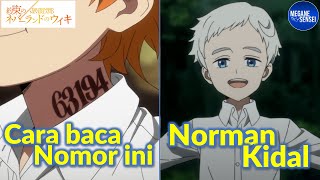 Gua Nonton Promised Neverland Buat Nyari Detail Kecil dan Ini Hasilnya [upl. by Rosalba]