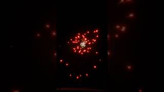 Scala 8 con controbomba by PiroSud fireworks fwsim bomb italy [upl. by Rahcir194]