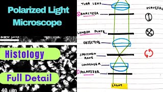 Polarising Microscope Histology Bancroft Lecture 6 [upl. by Kabab655]