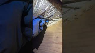 Termites Eating in Crawlspace [upl. by Aisitel]