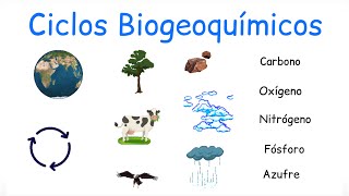 ♻️ Ciclos Biogeoquímicos  BiologíayEcología [upl. by Adnirod]